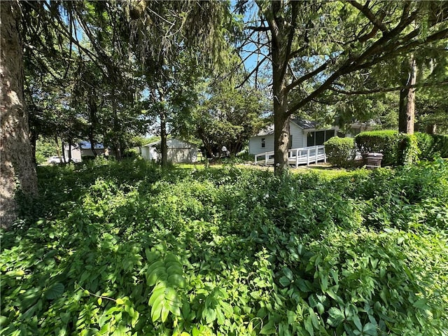 227 N Jefferson St, Westville, IL 61883 - photo 4