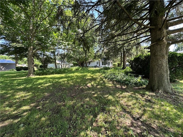 227 N Jefferson St, Westville, IL 61883 - photo 3