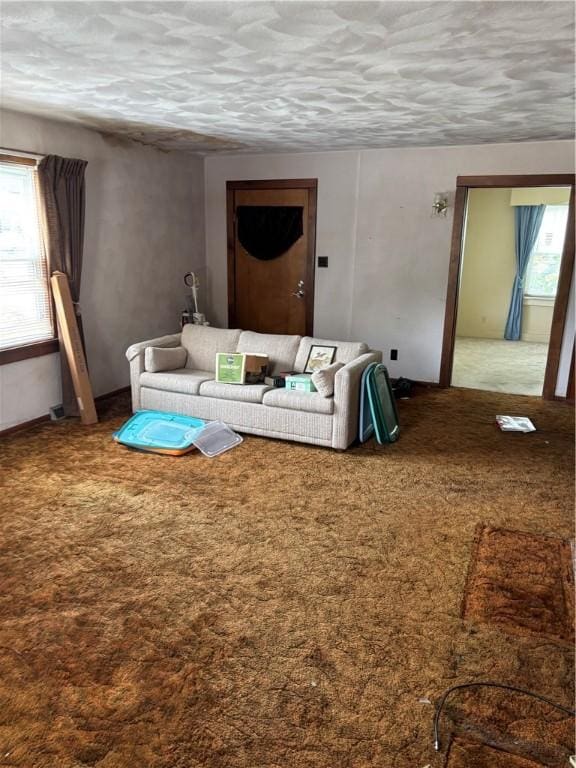 106 W Wernsing Ave, Effingham, IL 62401 - living area with carpet