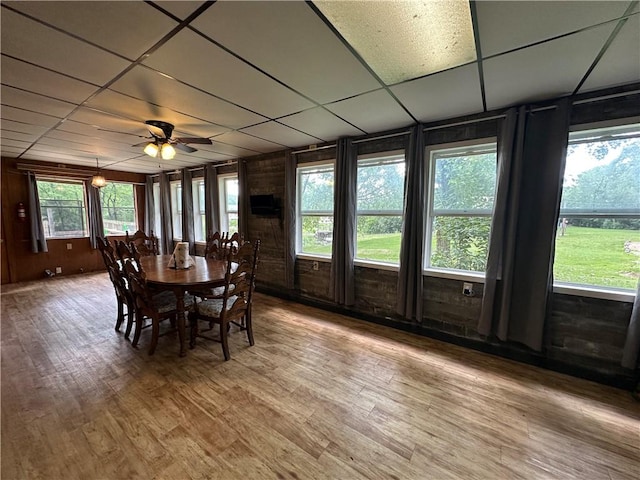 221 Celebration Ct, Oakwood, IL 61858 - dining area with a paneled ceiling, light wood-style flooring, wooden walls, and ceiling fan