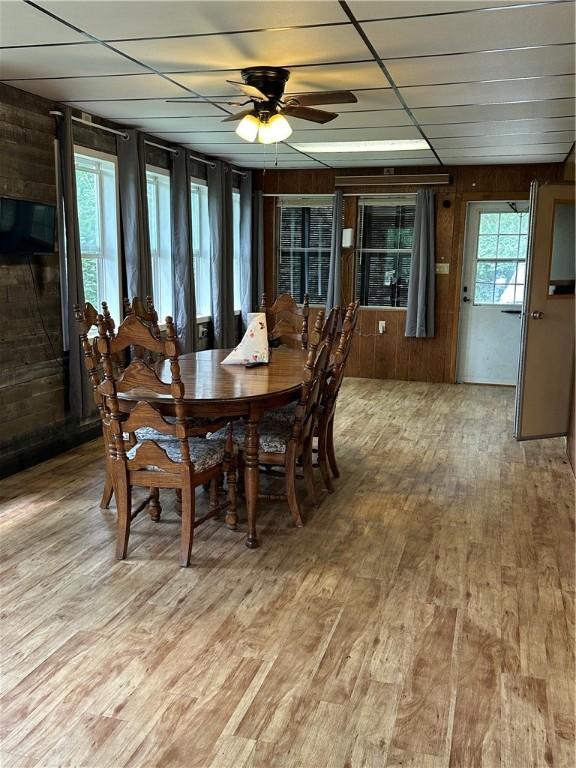 221 Celebration Ct, Oakwood, IL 61858 - dining space featuring ceiling fan, light wood-style flooring, and wood walls