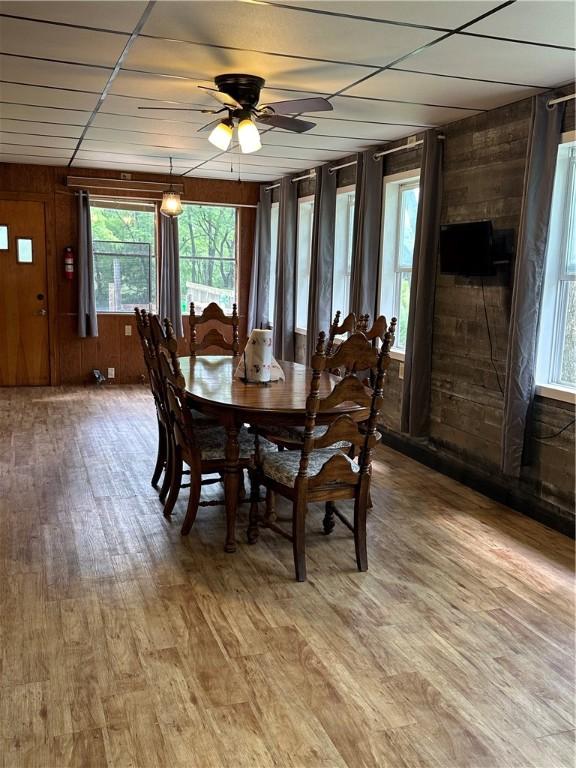 221 Celebration Ct, Oakwood, IL 61858 - dining area with wood walls, healthy amount of natural light, light wood-style flooring, and ceiling fan