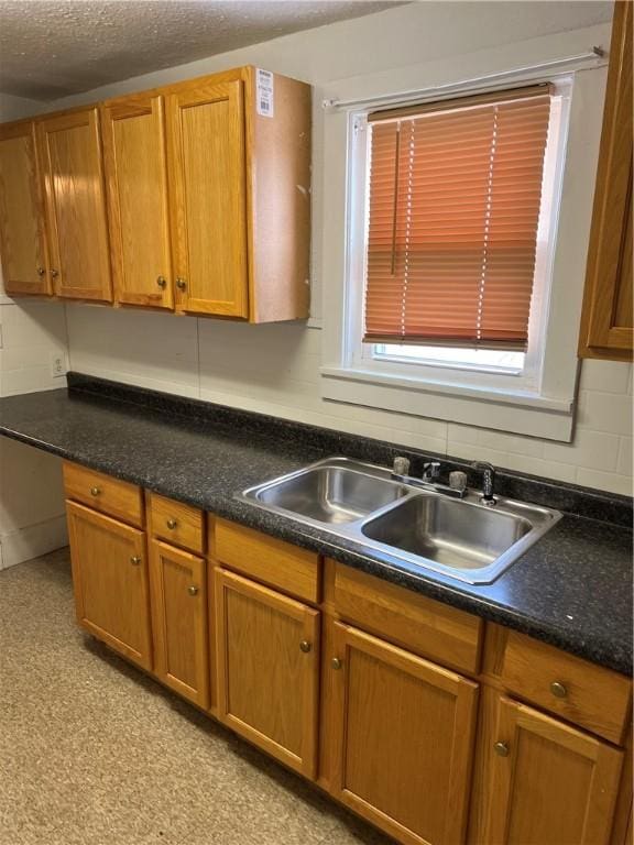 kitchen with sink and a textured ceiling