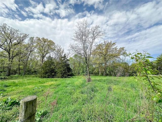 1625 Archer Ave, Marshall, IL 62441 - view of yard featuring a forest view