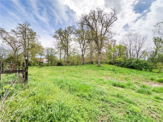 1625 Archer Ave, Marshall, IL 62441 - view of yard with a rural view