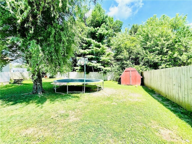 208 Roosevelt St, Paris, IL 61944 - photo 6