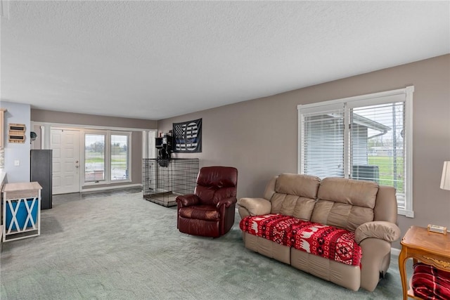 carpeted living area featuring a textured ceiling