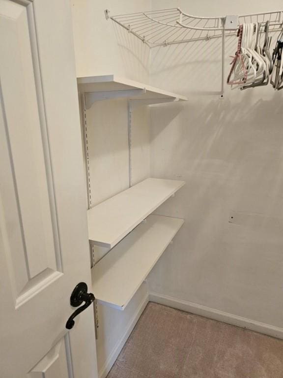 walk in closet with carpet flooring