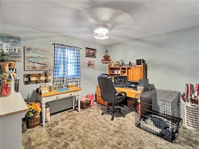 2321 Shelby Ave, Mattoon, IL 61938 - office featuring light carpet