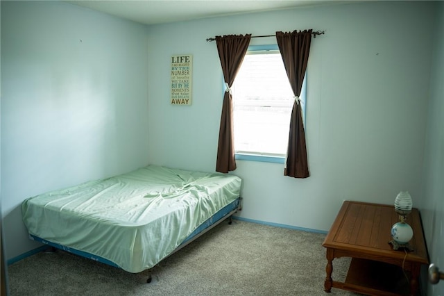 16 Franklin Rd, Bismarck, IL 61814 - bedroom featuring carpet