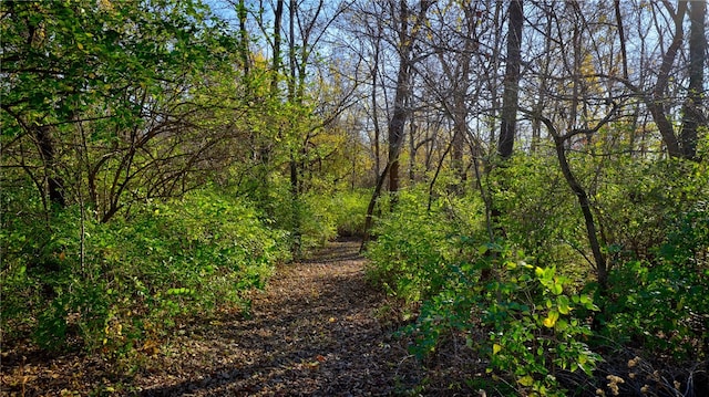 view of local wilderness with a view of trees