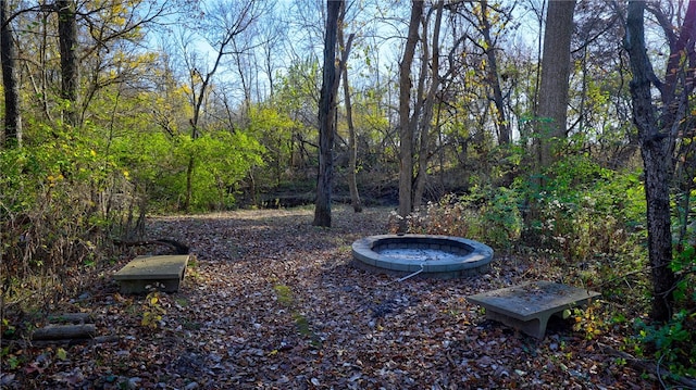 view of yard with a forest view