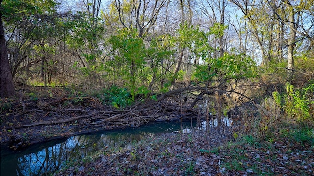 view of nature featuring a forest view