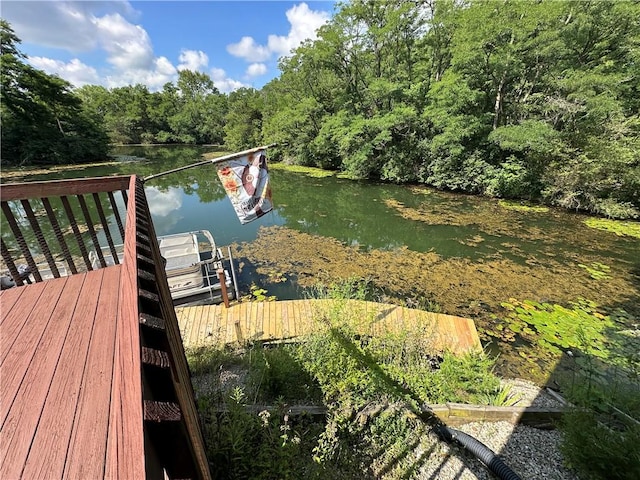 315 W Autumn Dr, Oakwood, IL 61858 - dock featuring a water view