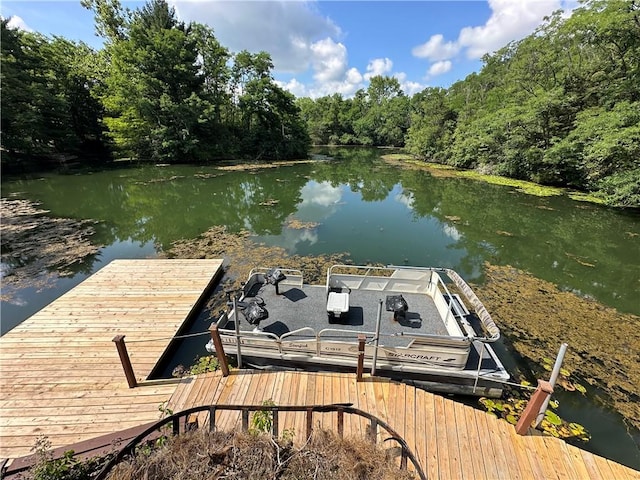 315 W Autumn Dr, Oakwood, IL 61858 - dock area with a water view and a view of trees
