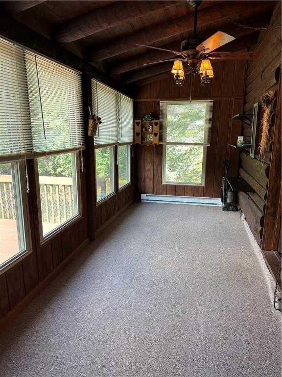 315 W Autumn Dr, Oakwood, IL 61858 - unfurnished sunroom with baseboard heating