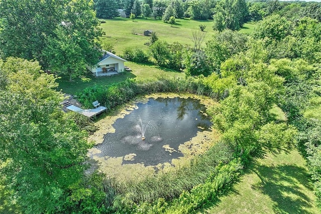 4433 W Rock Springs Rd, Decatur, IL 62522 - photo 6