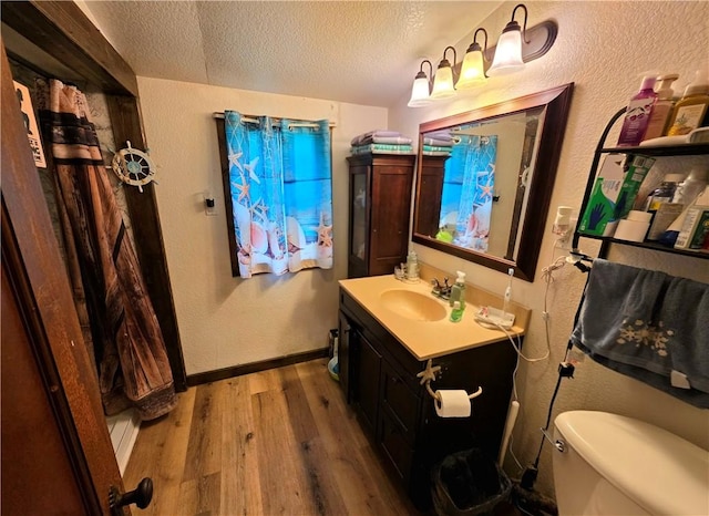 310 N Ellen St, Homer, IL 61849 - bathroom with wood finished floors, vanity, a textured ceiling, toilet, and a textured wall