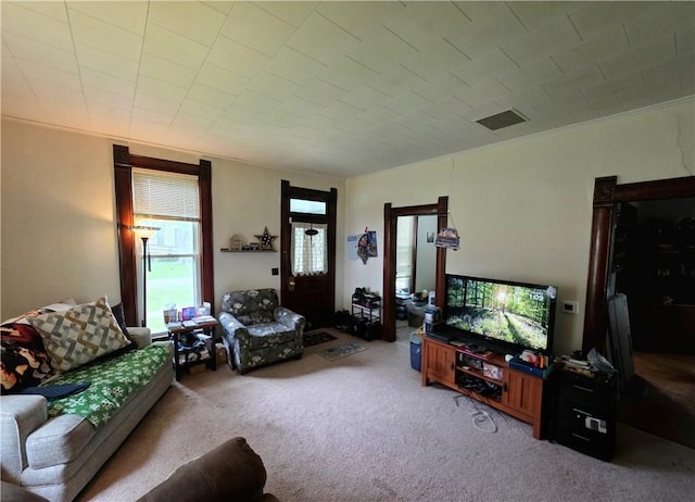 310 N Ellen St, Homer, IL 61849 - view of carpeted living area