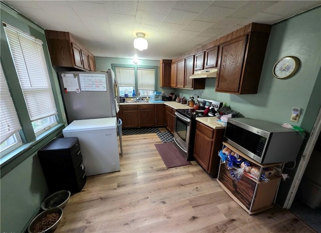 310 N Ellen St, Homer, IL 61849 - kitchen featuring stainless steel appliances, light wood-style flooring, light countertops, under cabinet range hood, and a sink