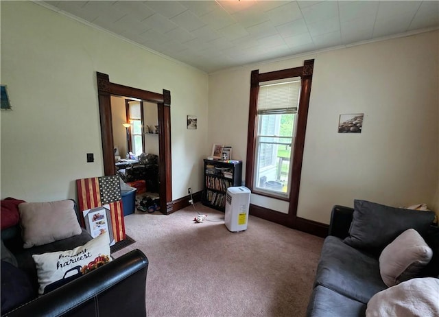 310 N Ellen St, Homer, IL 61849 - carpeted living room with crown molding and baseboards
