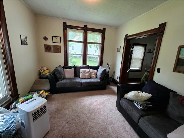 310 N Ellen St, Homer, IL 61849 - living room with crown molding and carpet flooring