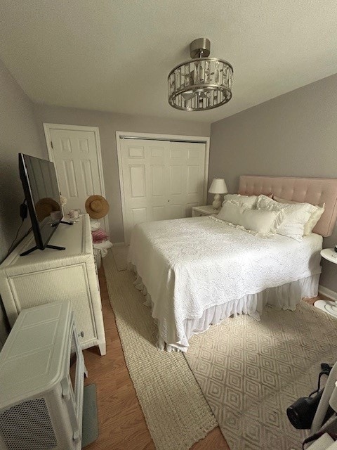 3221 E Lake Paradise Rd, Mattoon, IL 61938 - bedroom with a closet and wood finished floors