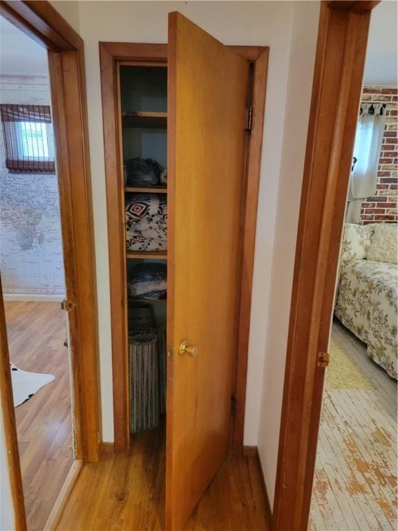 517 W Union St, Nokomis, IL 62075 - hall with wood finished floors