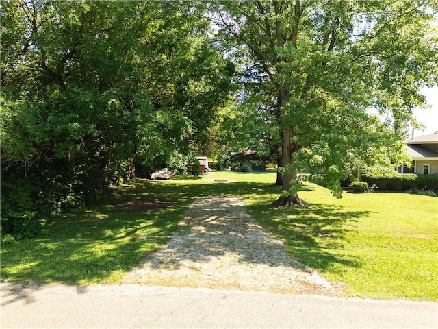 602 Maple Dr, Catlin, IL 61817 - view of grassy yard with driveway