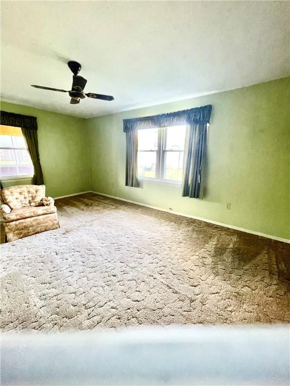 1206 Beech St, Marshall, IL 62441 - photo 11
