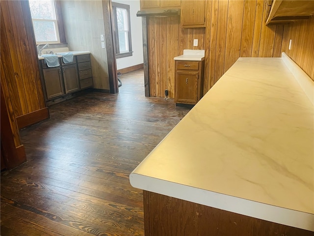 kitchen featuring plenty of natural light, wood walls, dark hardwood / wood-style flooring, and sink