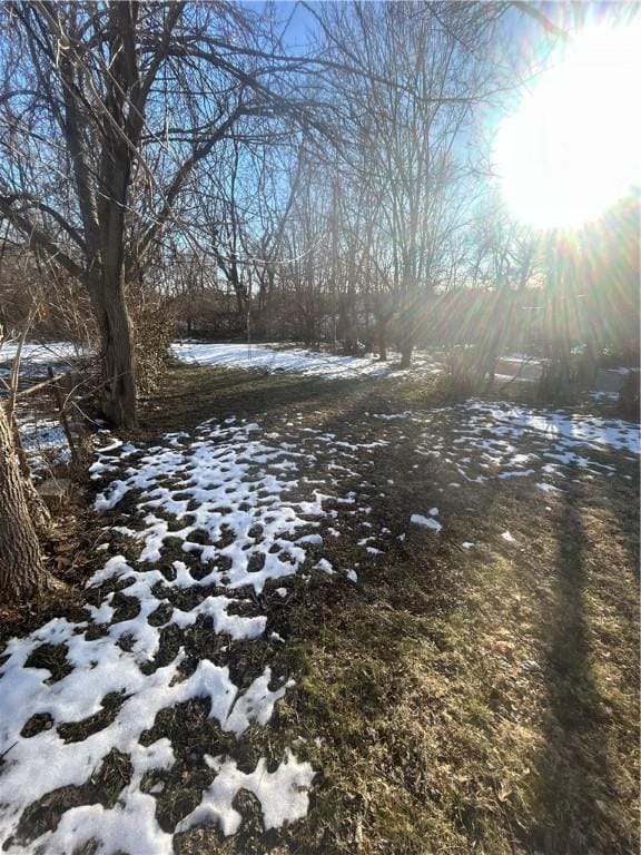 view of yard covered in snow