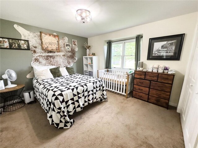 515 Horseshoe Ln, Casey, IL 62420 - photo 30