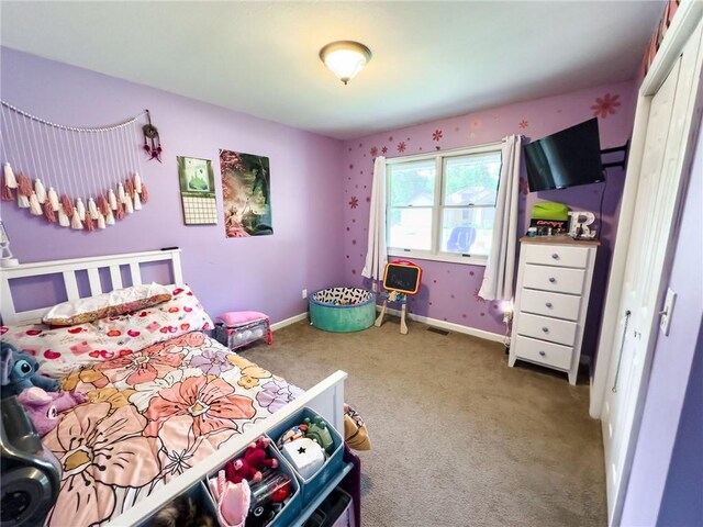 515 Horseshoe Ln, Casey, IL 62420 - photo 37