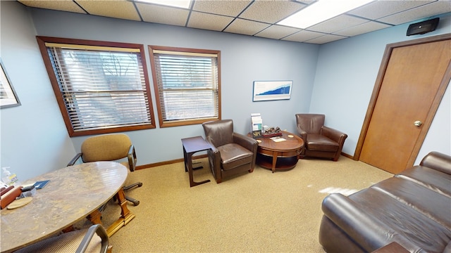 interior space with carpet and a drop ceiling