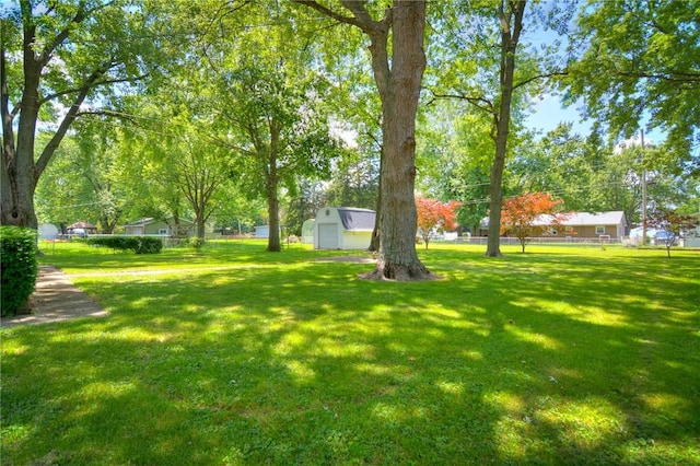 325 S Durfee St, Warrensburg, IL 62573 - view of grassy yard with a garage and an outdoor structure
