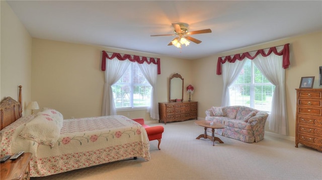 245 E Hamilton St, Warrensburg, IL 62573 - photo 31