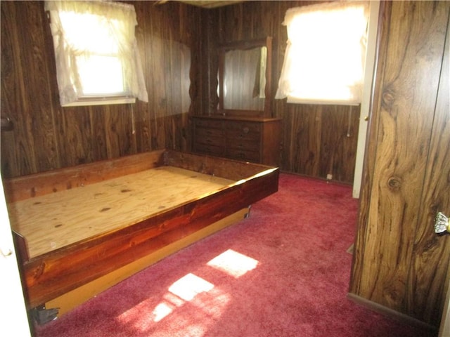 136 Macarthur Blvd, Pana, IL 62557 - carpeted bedroom featuring multiple windows and wooden walls