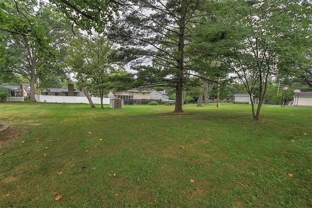 view of yard featuring a storage unit