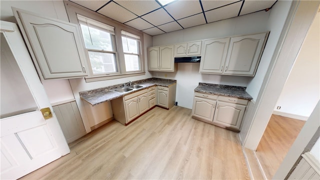 1204 N Franklin St, Danville, IL 61832 - kitchen featuring under cabinet range hood, a sink, light wood finished floors, and a drop ceiling