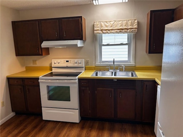 1413 13th St, Charleston, IL 61920 - kitchen with white appliances, under cabinet range hood, dark wood finished floors, light countertops, and dark brown cabinets