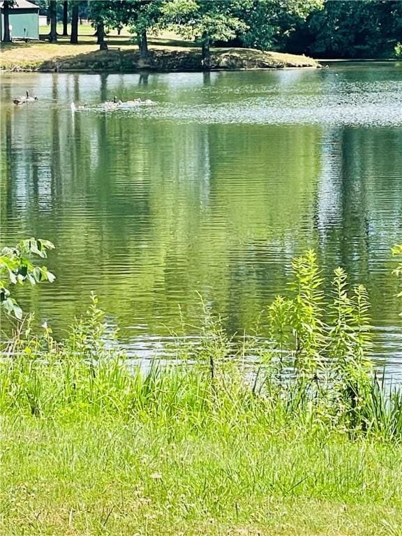 14014 E US Highway 40, Marshall, IL 62441 - water view
