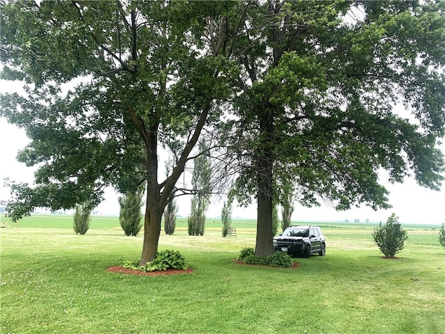 647 E 2100 N Rd, Assumption, IL 62510 - view of grassy yard