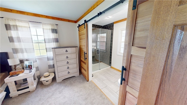 2251 W Stone Bluff Rd, Covington, IN 47932 - bedroom with multiple windows and a barn door