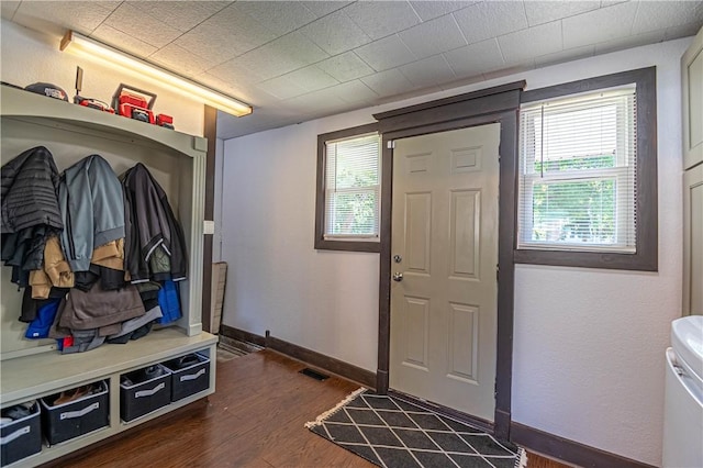 503 W Harrison St, Sullivan, IL 61951 - mudroom featuring dark wood-type flooring and plenty of natural light