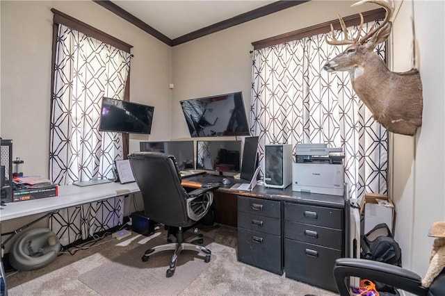 503 W Harrison St, Sullivan, IL 61951 - carpeted office featuring crown molding and plenty of natural light