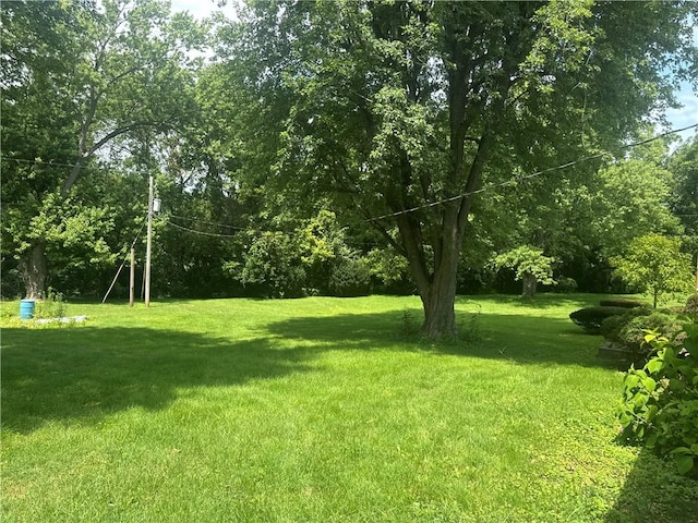 12735 Catlin Tilton Rd, Catlin, IL 61817 - photo 15