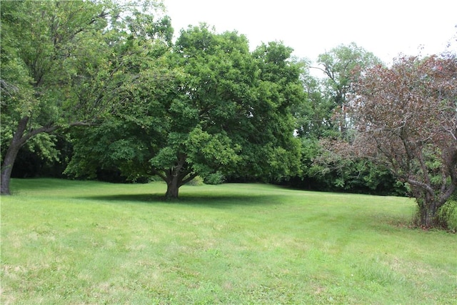 12735 Catlin Tilton Rd, Catlin, IL 61817 - photo 4