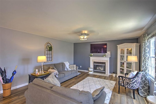 737 Phillip Cir, Forsyth, IL 62535 - living area featuring a tile fireplace and wood finished floors
