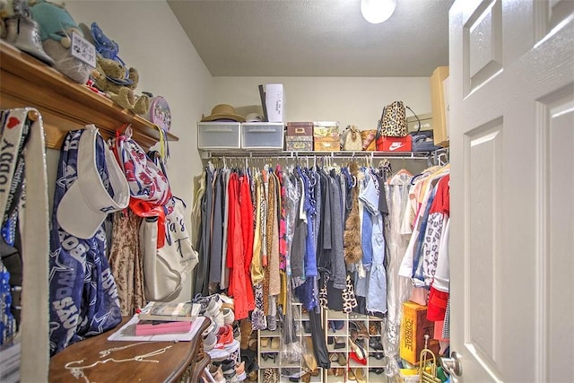 737 Phillip Cir, Forsyth, IL 62535 - view of walk in closet